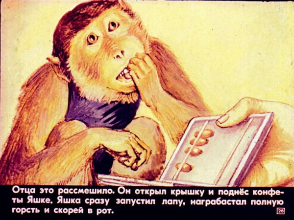 Б Житков про обезьянку