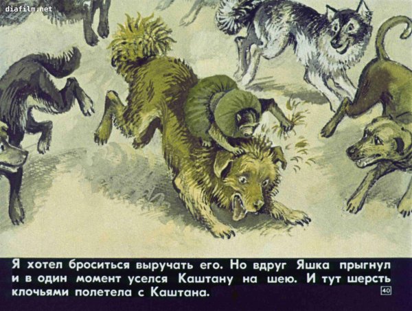 Обезьянка Яшка Житков