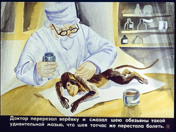 Про обезьянку Автор