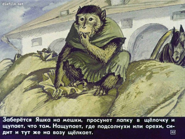 Б Житков про обезьянку
