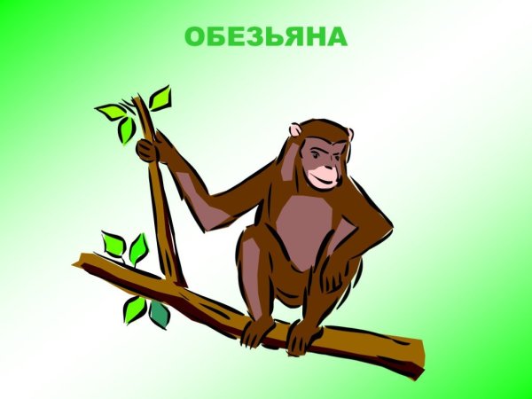 Иллюстрация про обезьянку