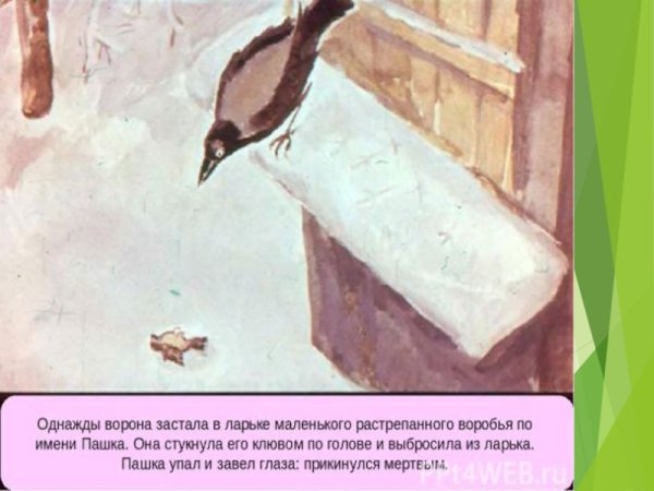 Однажды ворона застала в ларьке маленького растрёпанного воробья