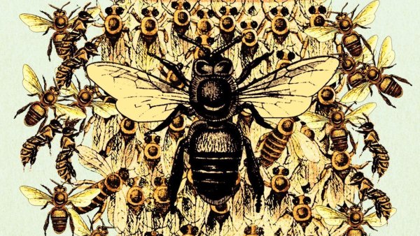 Арты сказки с пчелами в х (66 фото)