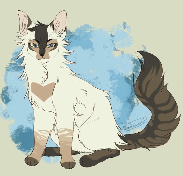 Коты Воители Ледозвезд