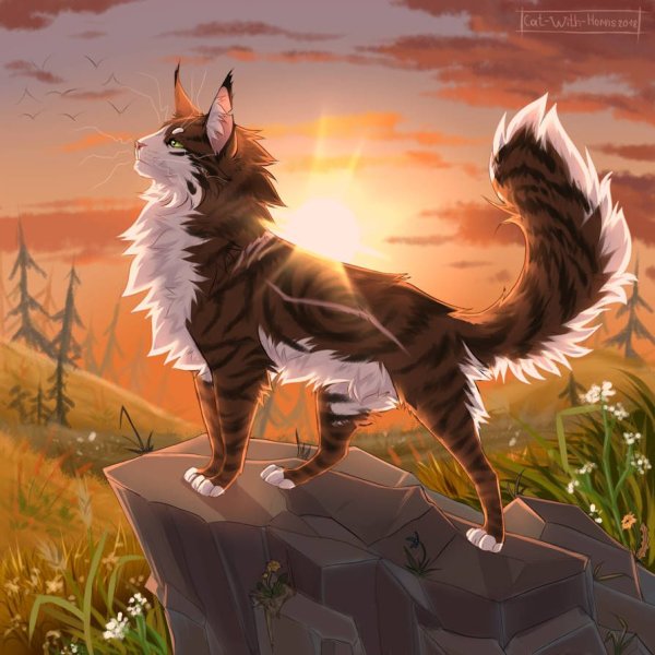 Коты Воители Дубозвезд