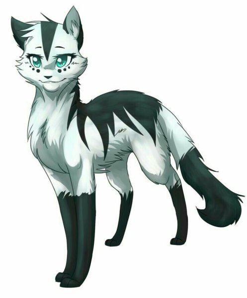Коты Воители Чернолапка