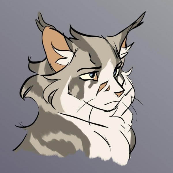 Коты Воители Терновник