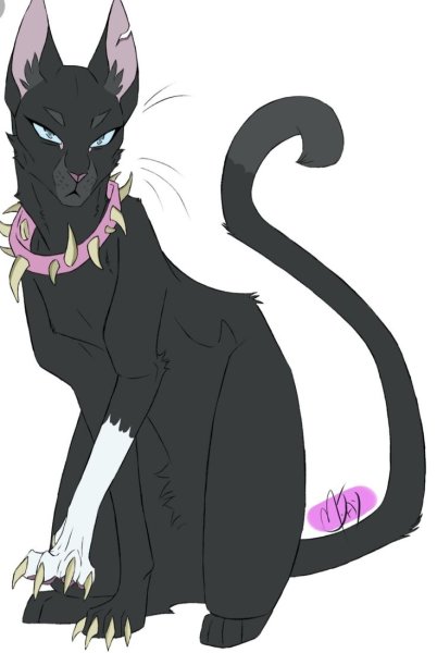 Коты Воители marymsjay Бич