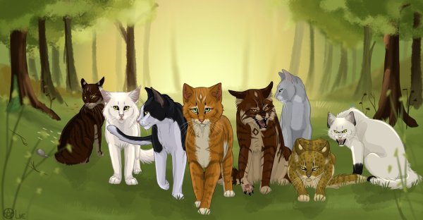 Коты Воители группа