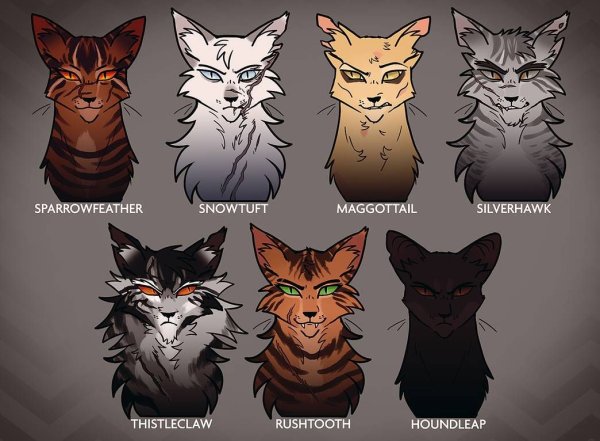 Коты Воители Скопа