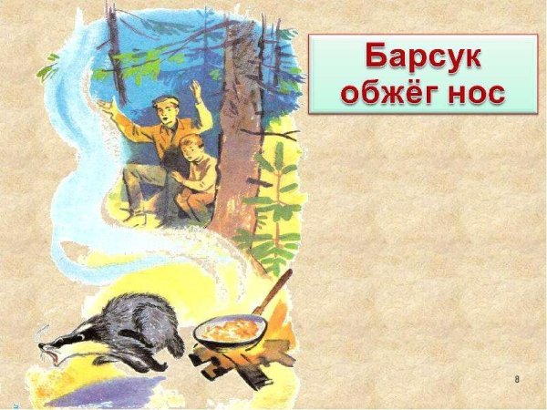 Иллюстрации к рассказу барсучий нос Паустовский