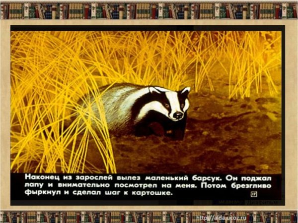 Паустовский к.г. "барсучий нос"