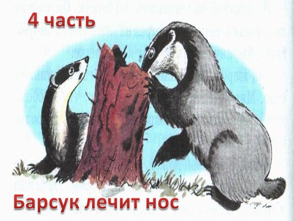 Иллюстрация к рассказу барсучий нос
