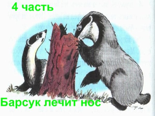 Рисунок к сказке барсучий нос