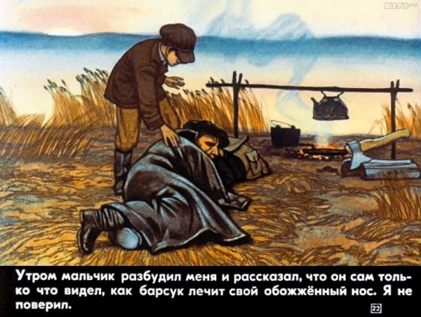 Иллюстрации к рассказу барсучий нос Паустовский