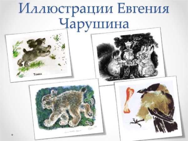 Художник-иллюстратор Евгения Чарушина