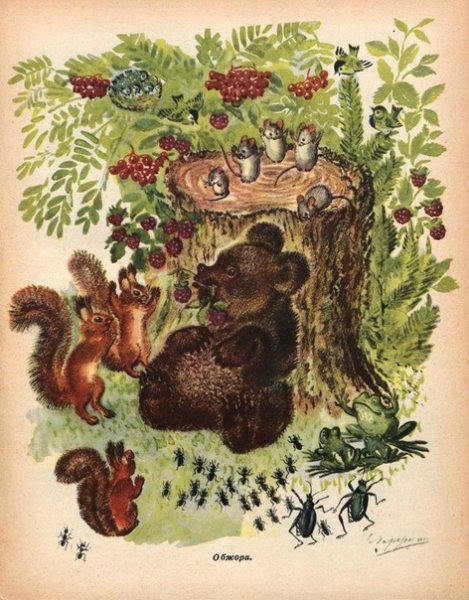 Евгений Чарушин художник иллюстратор