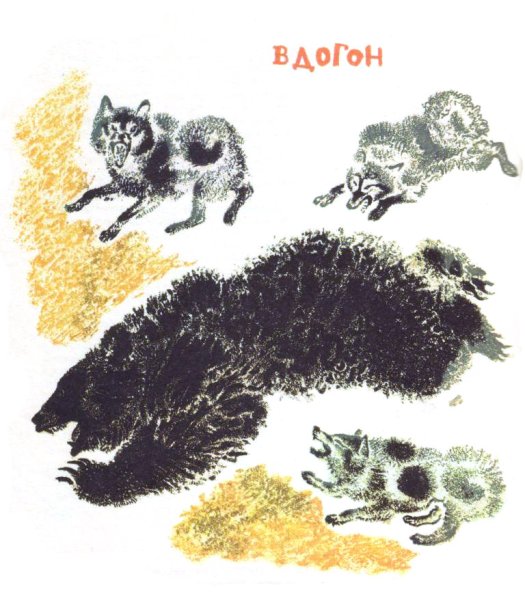 Чарушин Евгений Иванович иллюстрации