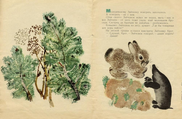 Евгений Чарушин книги иллюстрации