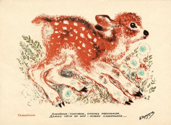 Олешки е Чарушин