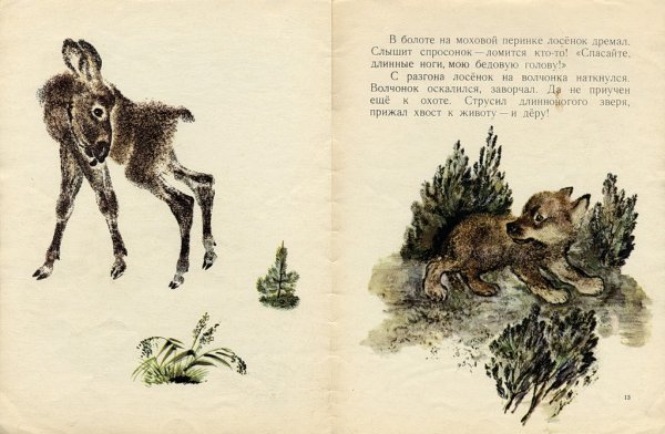 Евгений Чарушин книги иллюстрации