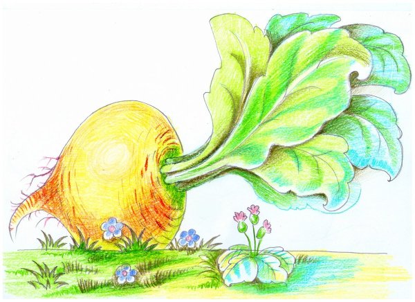 Репка рисунок для детей