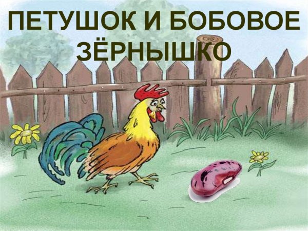 Петух и бобовое зернышко