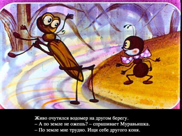 Муравьишка хвастунишка водомер