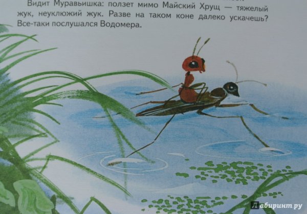 Муравей Бианки