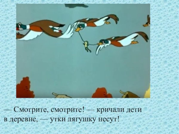 П лягушка путешественница