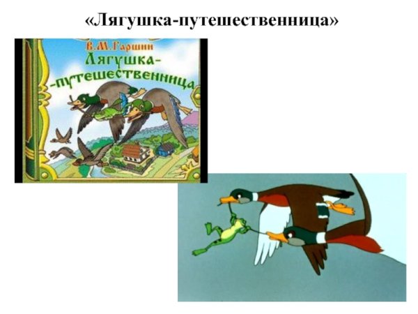 Главные герои сказки лягушка путешественница