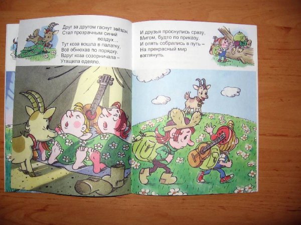 Книга ох и Ах идут в поход
