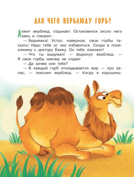 Верблюд из сказки