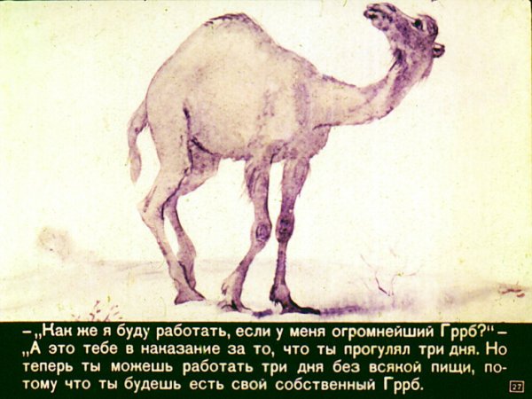 От чего у верблюда горб картинки