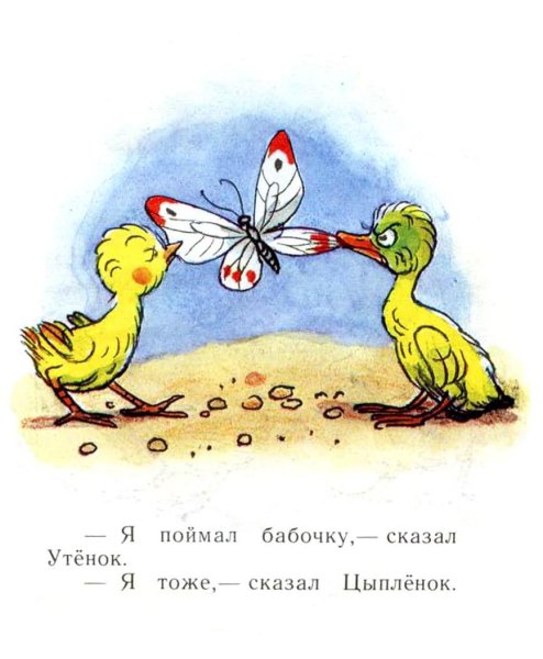 Цыпленок и утенок Сутеев иллюстрации