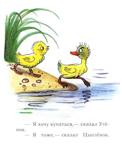 Сказки Сутеева цыпленок и утенок