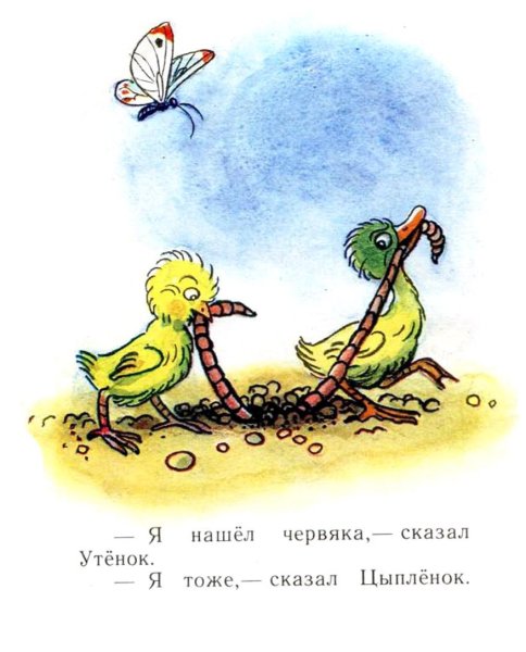 Сказка цыпленок и утенок Сутеев
