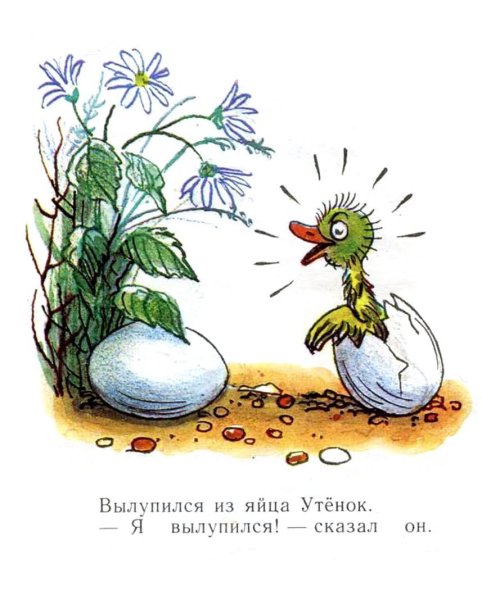 Сказки Сутеева цыпленок и утенок