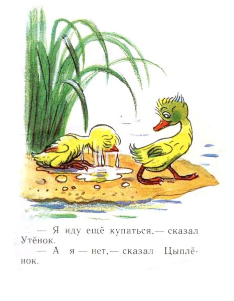 Сказки Сутеева цыпленок и утенок