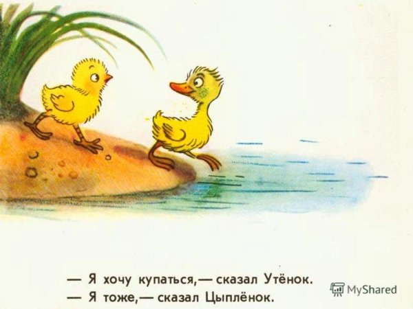 Сказка цыпленок и утенок