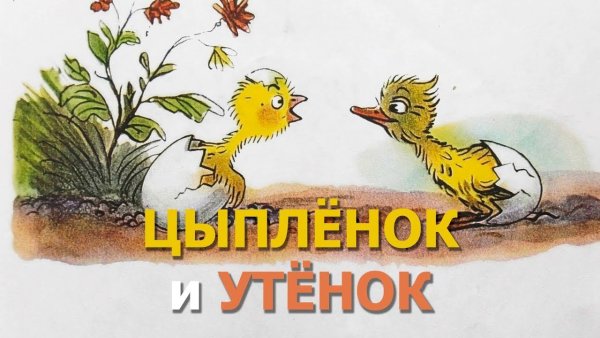 Сутеев цыпленок и утенок книга