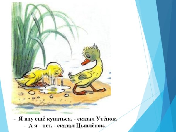 Сутеев цыпленок и утенок текст