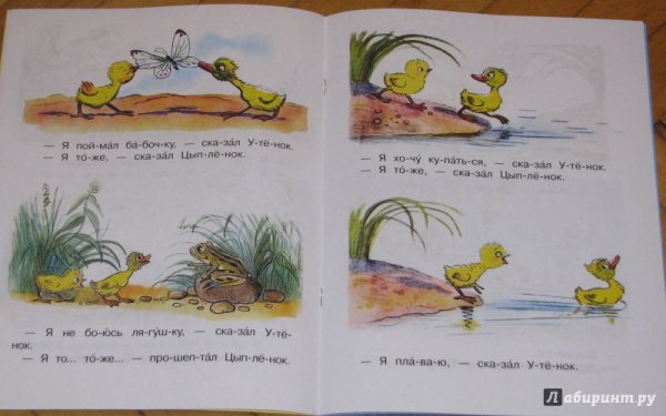 Владимир Сутеев книги цыпленок и утенок