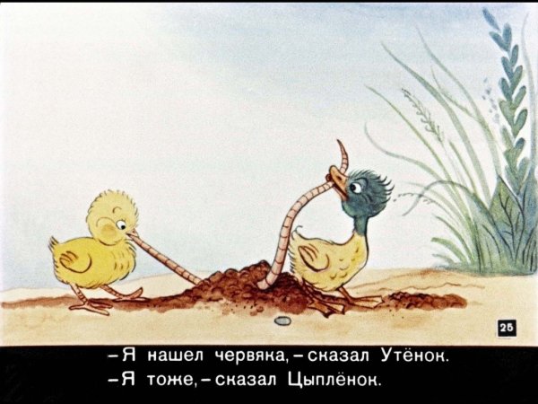 Утёнок и цыплёнок мультфильм Сутеева