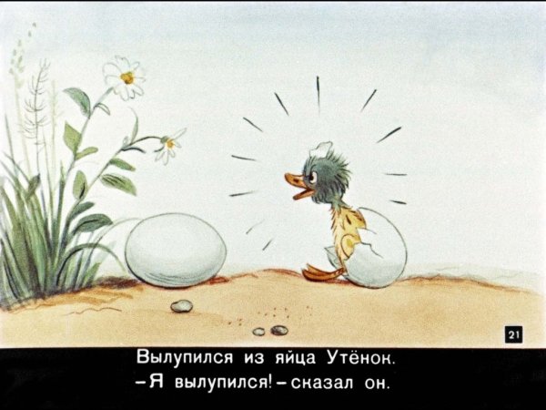 Цыпленок и утенок Сутеев мультфильм