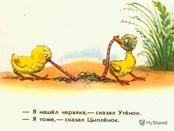 Сказка цыпленок и утенок Сутеев