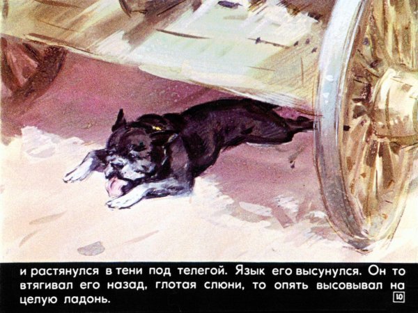 Лев Николаевич толстой Булька