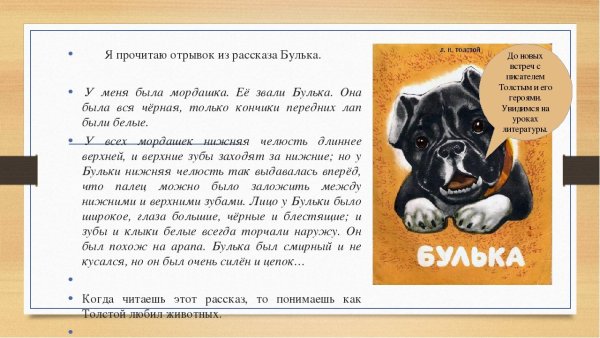 Лев Николаевич толстой Булька