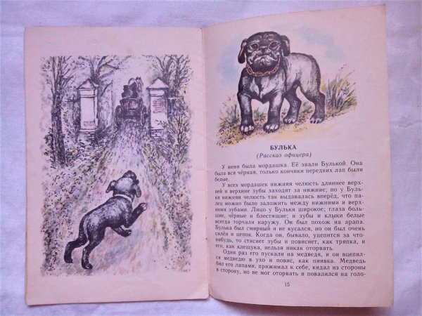 Лев толстой Булька