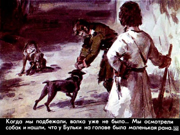 Произведение Льва Толстого Булька